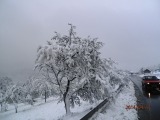Snijeg u Kladnju, Gojsalići, 17.04.2014.